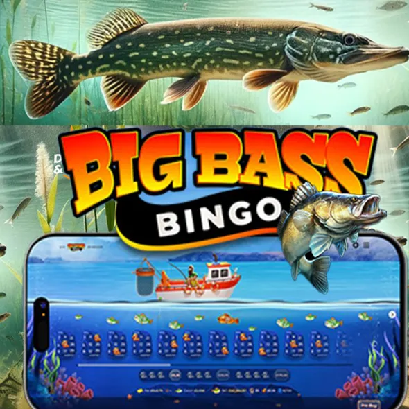 Big Bass Bingo
